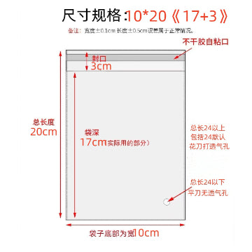 紙卡頭背組 商品圖 11